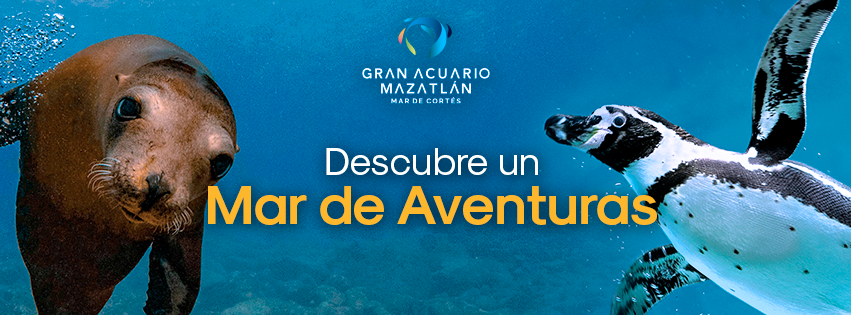 Gran Acuario Mazatlán “Mar de Cortés”: el acuario más grande de Latinoamérica donde puedes nadar con tiburones