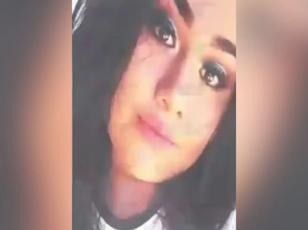 Ficha de búsqueda de Grecia Guadalupe Orantes Mendoza con filtros de redes sociales.