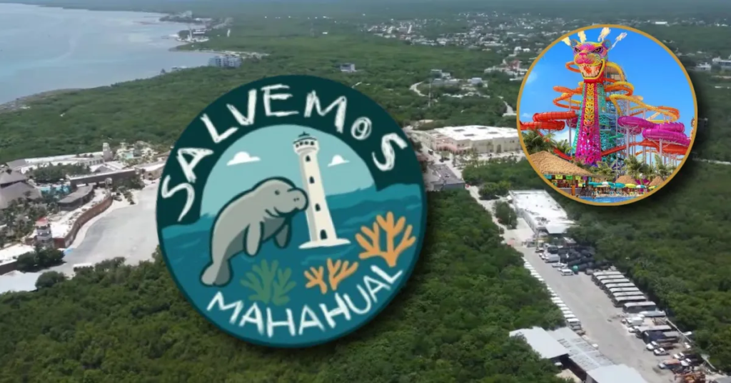 ¡Lo logramos! Cancelan el megaproyecto de Royal Caribbean en Mahahual tras presión ciudadana