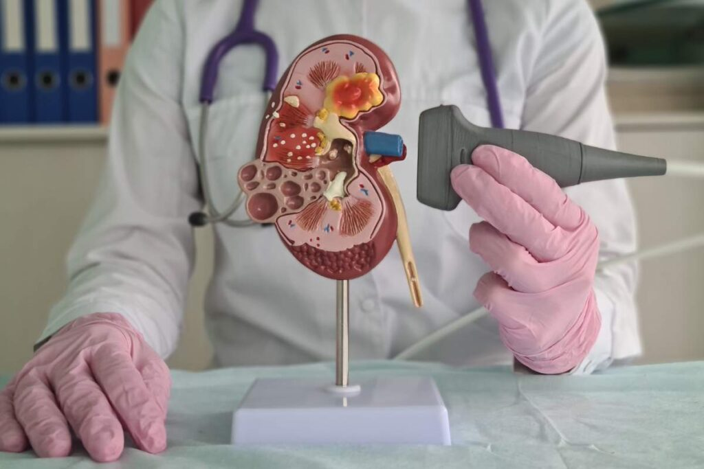 Órganos digitales y bioimpresión 3D: La tecnología que busca revolucionar los trasplantes y eliminar las listas de espera